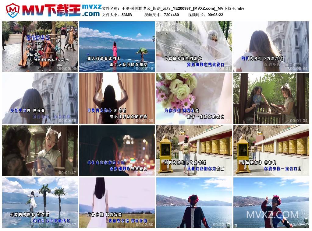 王刚-爱你的老公_国语_流行_YE200997